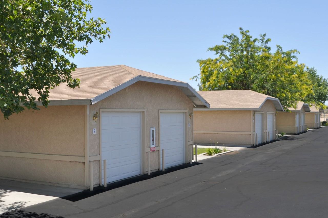 Desert Palms - Photo 3 of 14