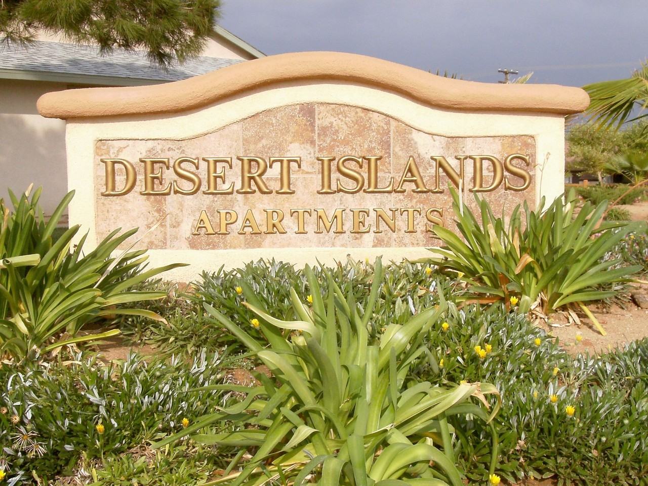 Desert Islands - Photo 3 of 19