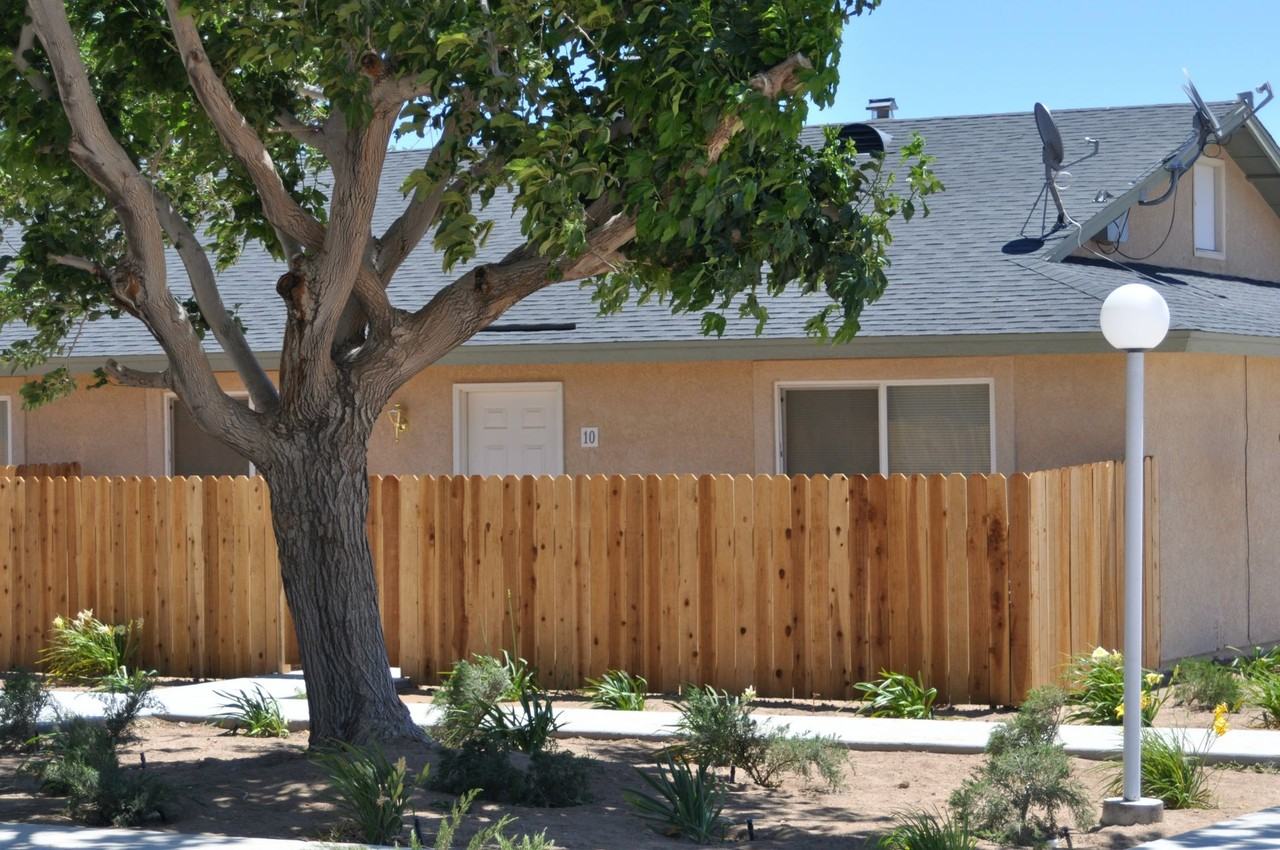 Desert Nights - Photo 2 of 16