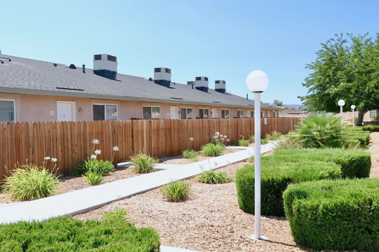 Desert Nights - Photo 4 of 16