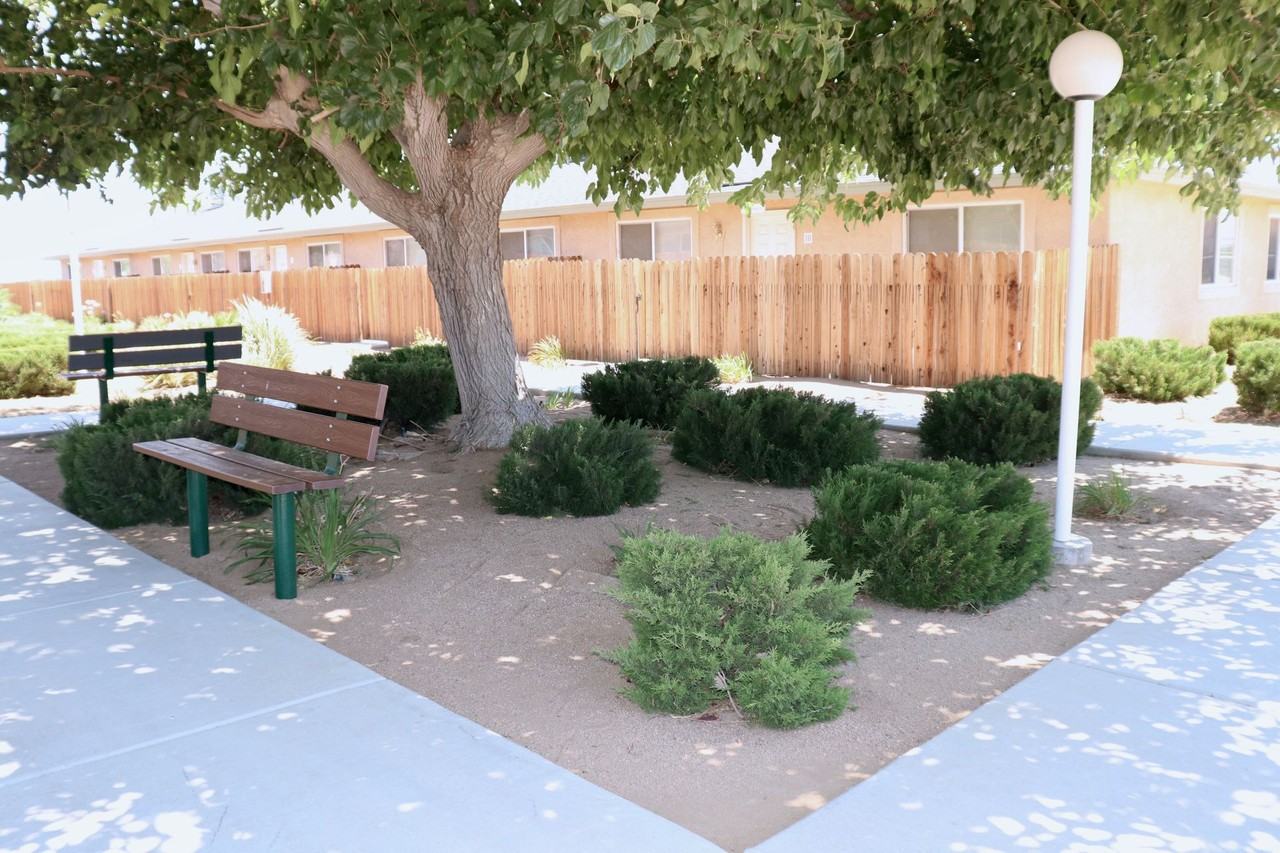 Desert Nights - Photo 7 of 16