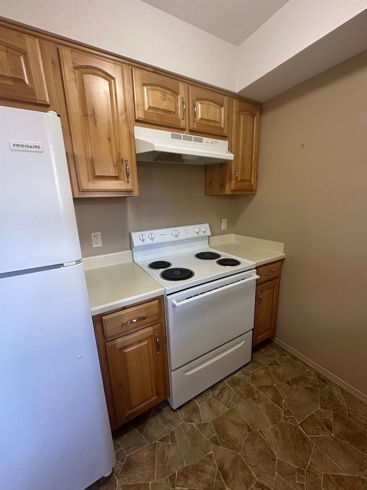 1107 S Saint Louis Ave - Photo 3 of 12