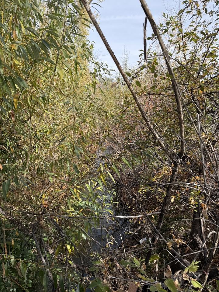 800 30th St #A - Photo 5 of 9