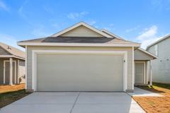 1858 Musk Rose - Photo 1 of 1