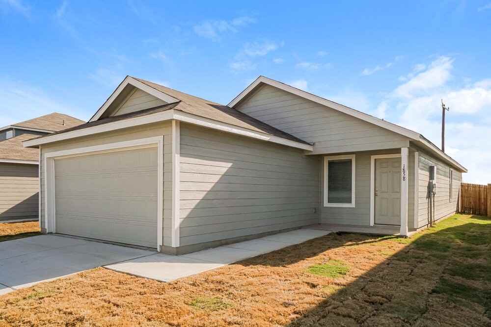 1858 Musk Rose - Photo 3 of 16