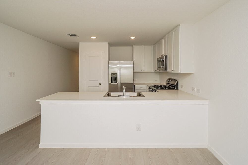 1858 Musk Rose - Photo 7 of 16