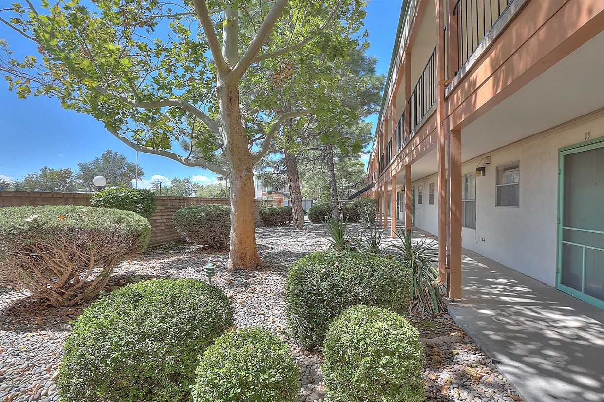 White Oak Apartments - Photo 6 of 37