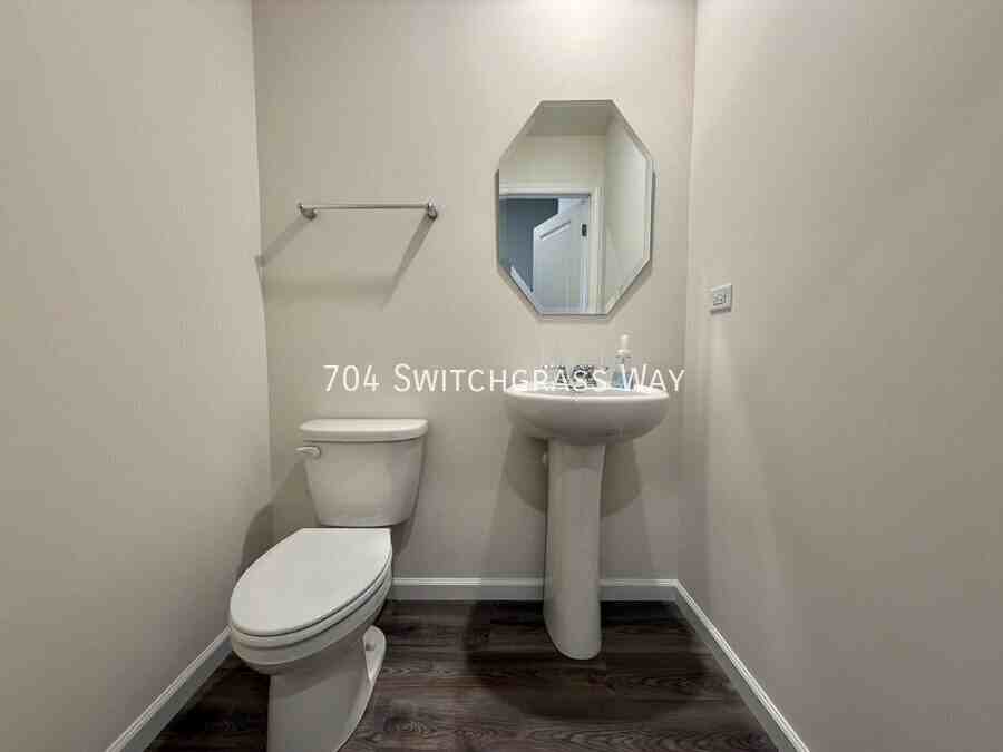 704 Switchgrass Drive - Photo 7 of 15