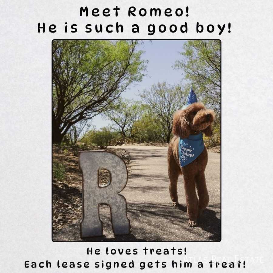 3748 W Lewisport Dr - Photo 2 of 21