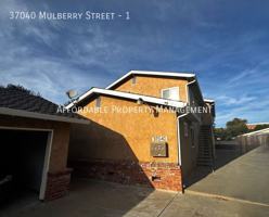 featured image of 37040 Mulberry St #1