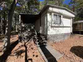 featured image of 82 Young Rd