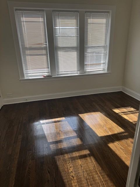 1643 East 86th Place #2 - Photo 5 of 12