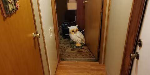 Highway 70 MHC - Photo 7 of 20