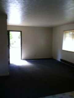 659 Limeberger Creek Rd - Photo 3 of 3