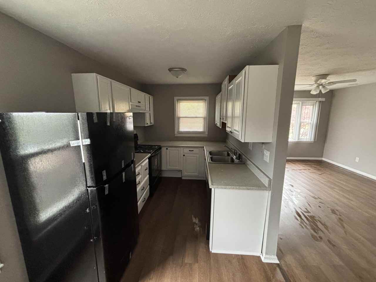 1177 Mount Rushmore Way - Photo 3 of 13