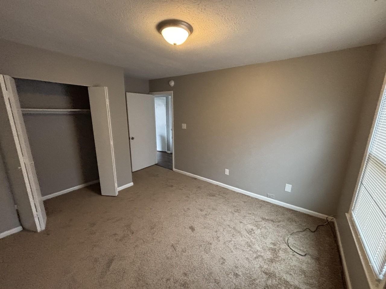 1177 Mount Rushmore Way - Photo 5 of 13