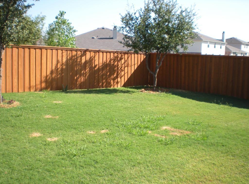 5400 Pandale Valley Dr - Photo 3 of 13