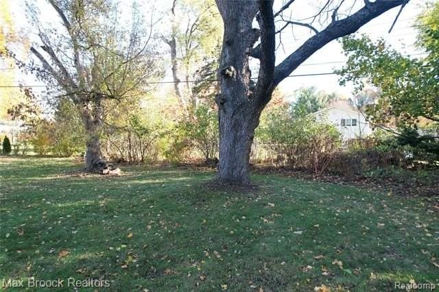 30024 Beacontree St - Photo 3 of 35