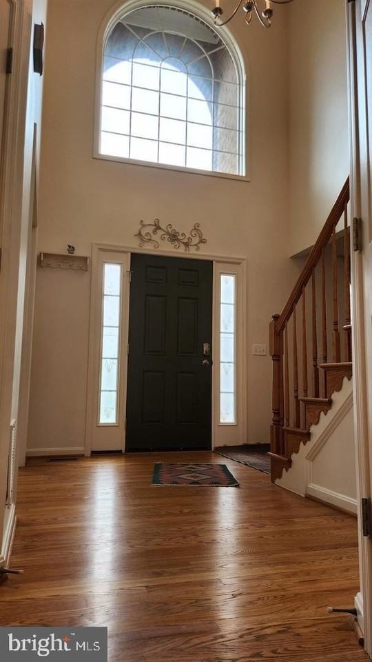 4018 Tiber Falls Drive - Photo 4 of 23