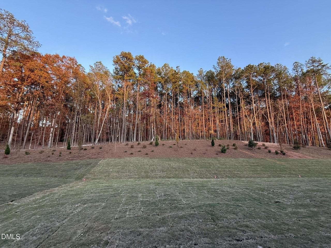 3512 Pelican Lane - Photo 6 of 50