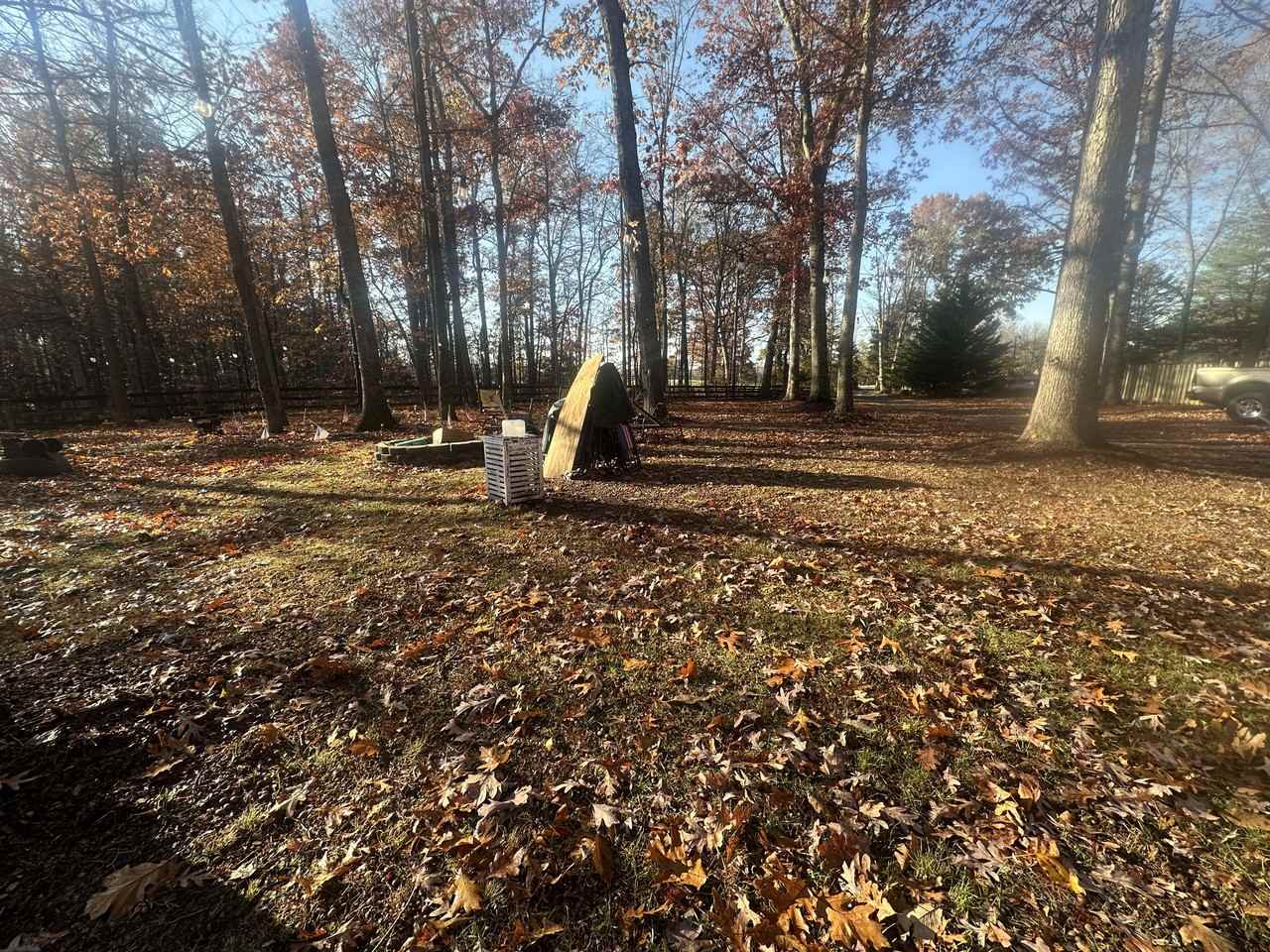 4562 Gavin Woods Ct #NA - Photo 2 of 22