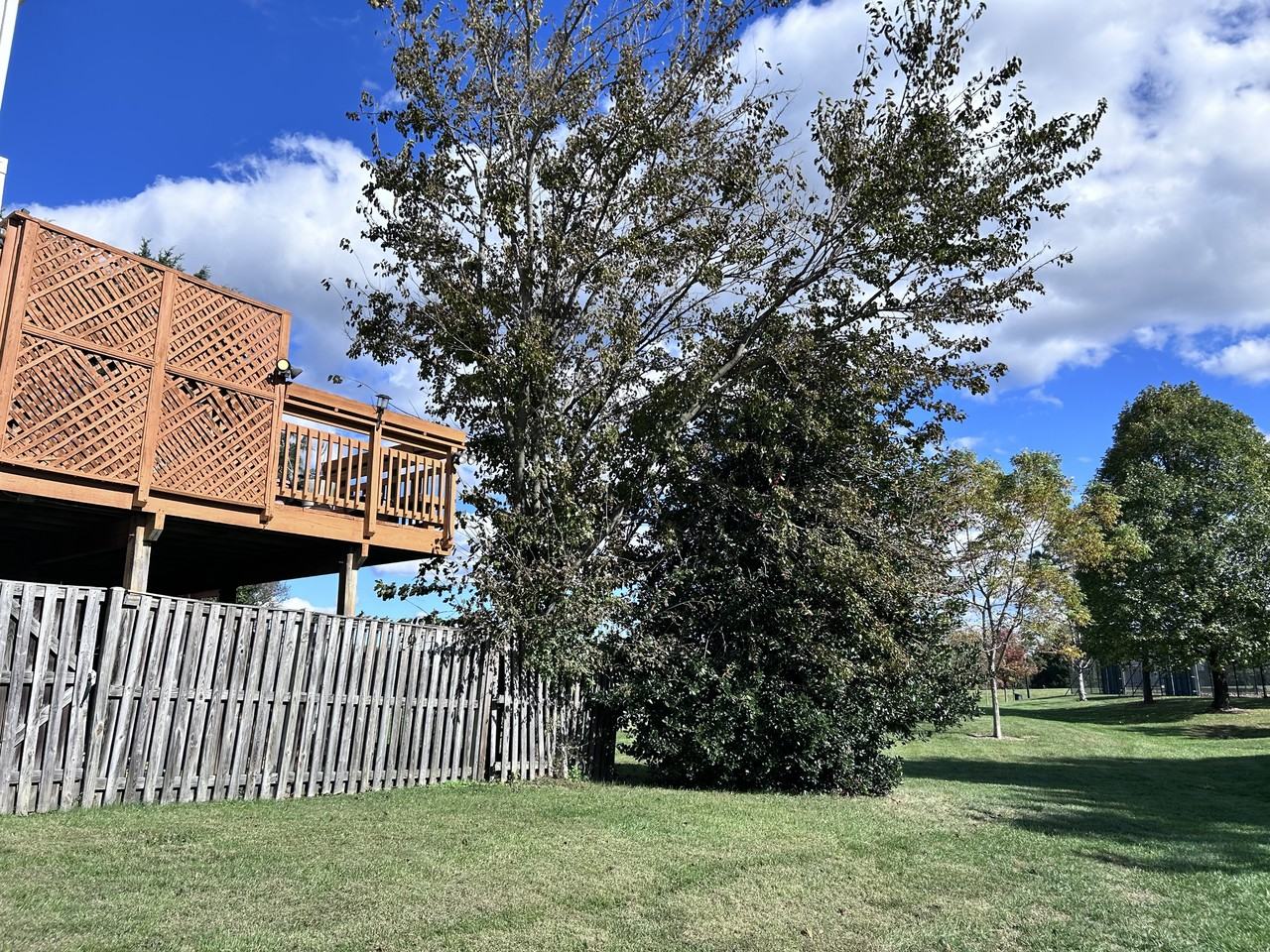 15101 Callohan Ct #15101 - Photo 4 of 8