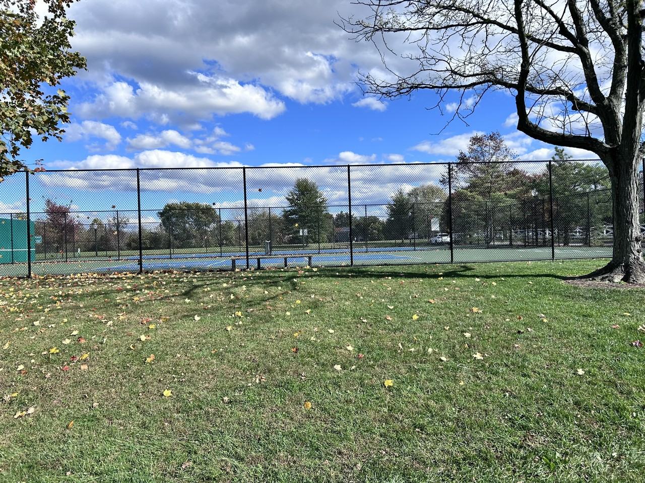 15101 Callohan Ct #15101 - Photo 7 of 8