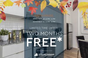 featured image of 31 Phipps Street