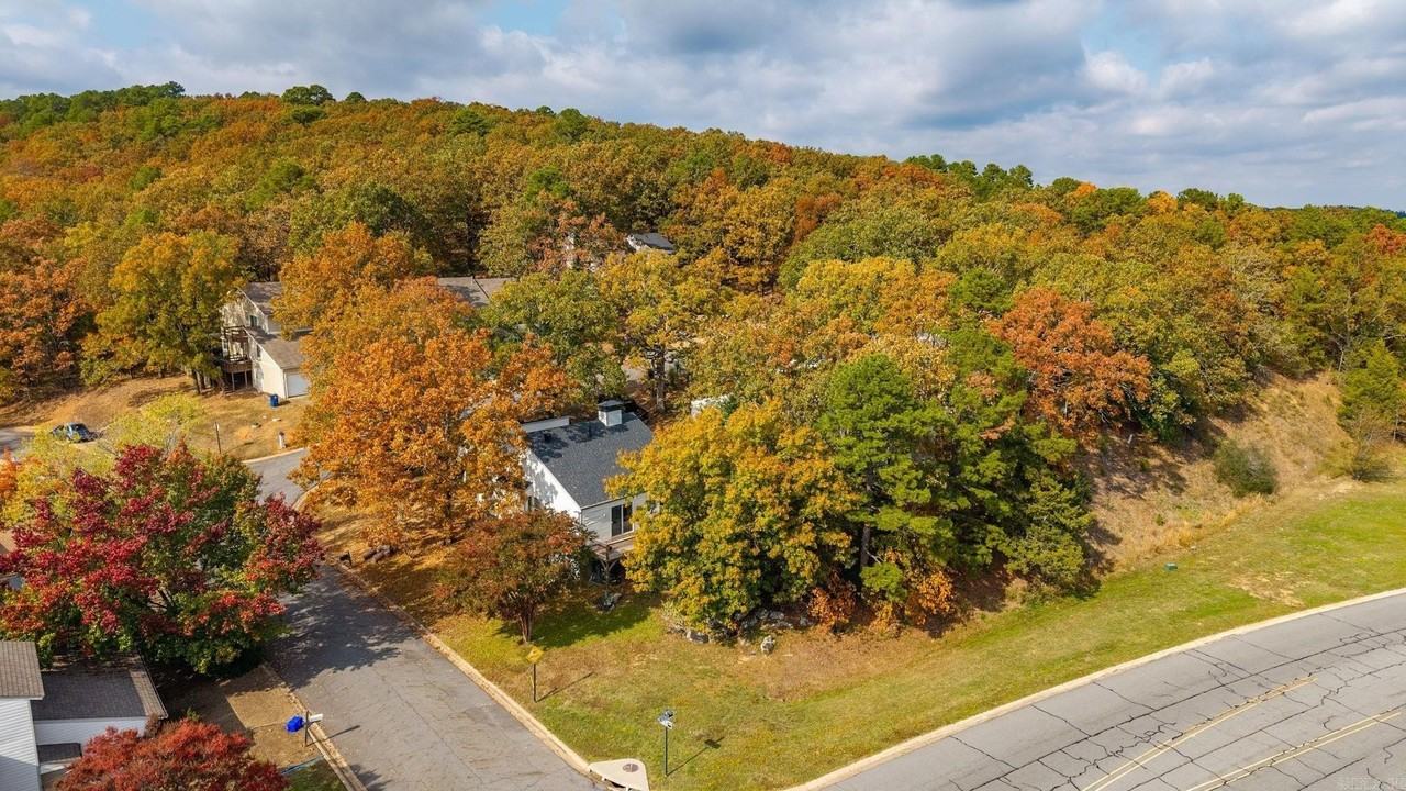 102 Windwood Ln - Photo 4 of 43