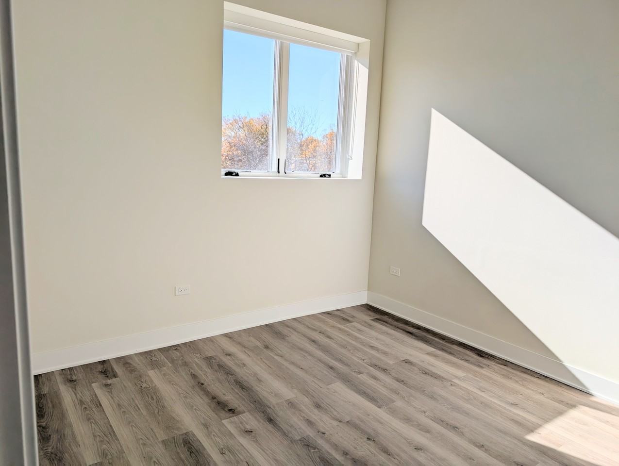 1453 Maple Ave #205 - Photo 6 of 20