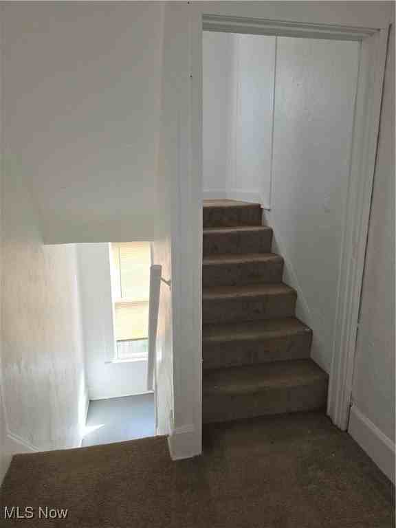 207 Bath St Unit Up #UP - Photo 5 of 15