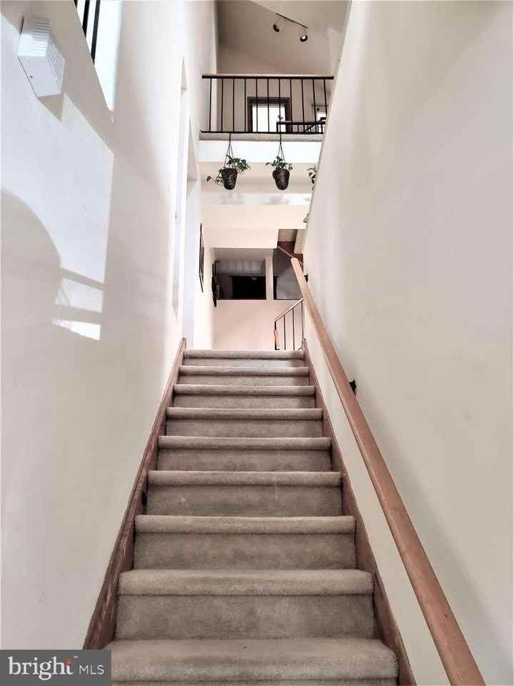 8 Rex Avenue #11 - Photo 4 of 25