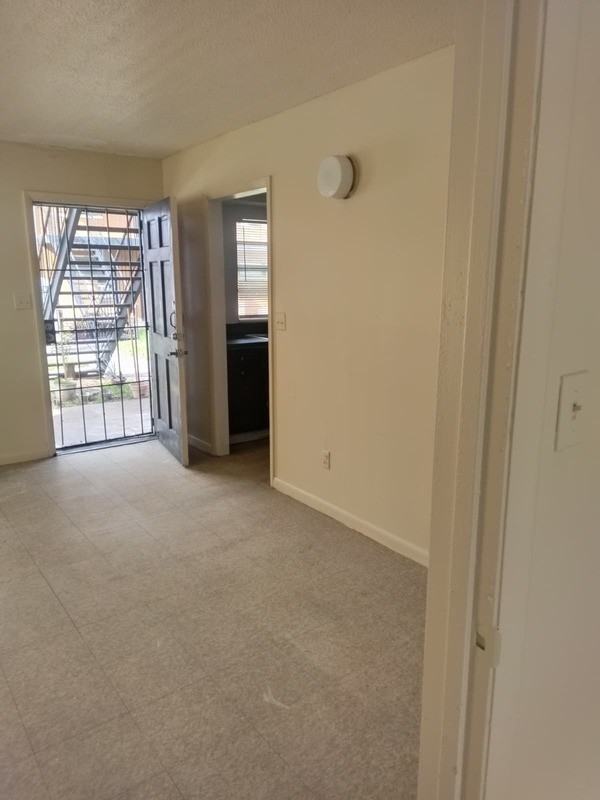 218 S Tampa Ave #4 - Photo 4 of 7