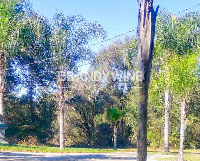 5222 Aragon Ave - Photo 7 of 10