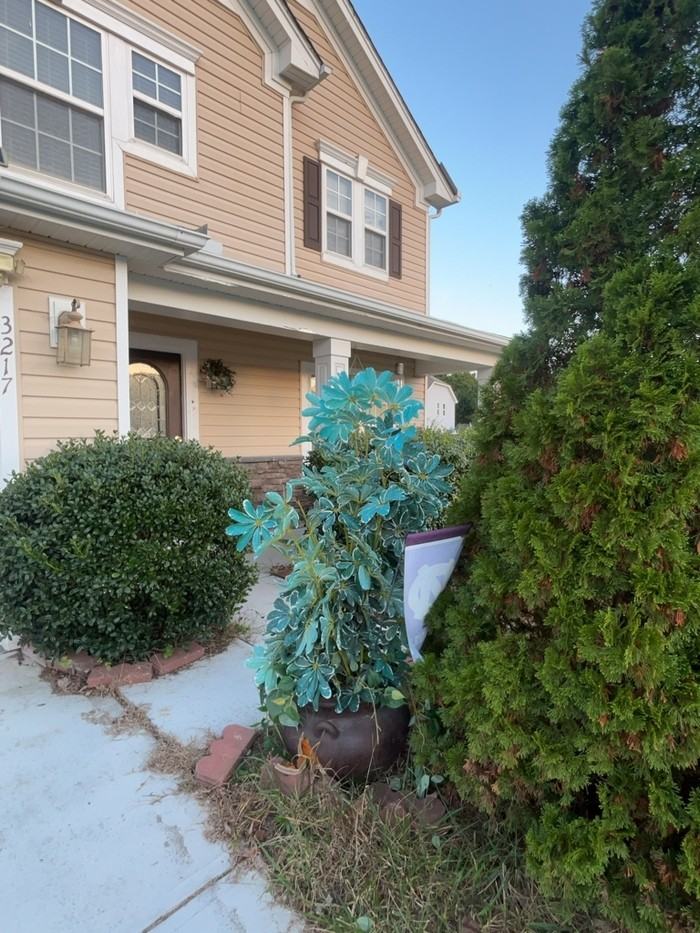 3217 Olustee Dr - Photo 2 of 22