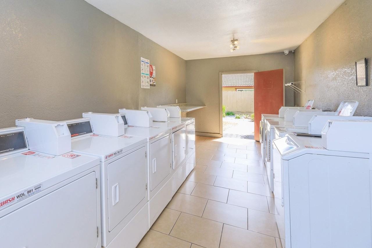 Meadowlark - Photo 3 of 9