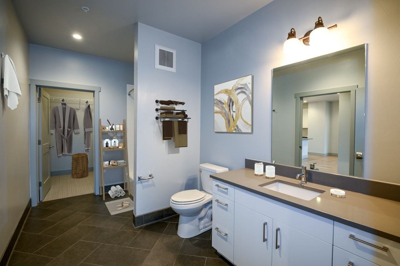 Black Olive - Photo 6 of 25