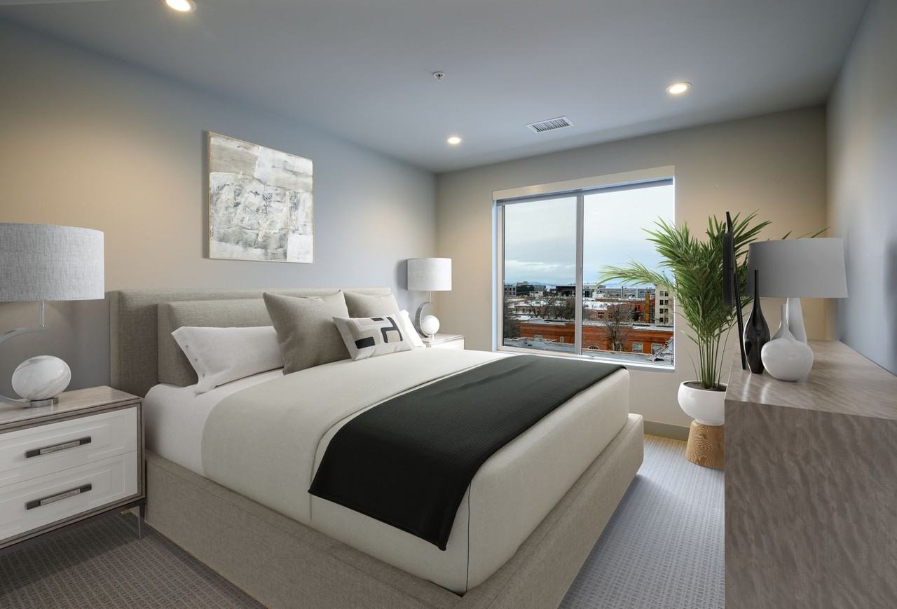 Black Olive - Photo 7 of 25