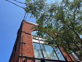 61 Ossington Avenue - Photo 1 of 1