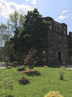 featured image of 73 Carnegie Avenue