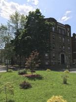 The Rose - Photo 1 of 1