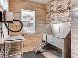 featured image of 1193 Auburn Drive