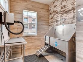 1193 Auburn Drive - Photo 1 of 1