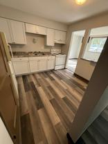 The Woods - Photo 1 of 1