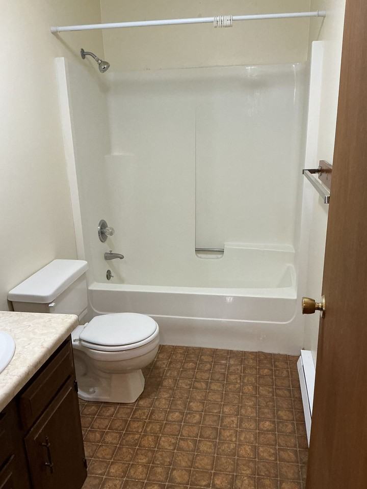 Two Bedroom Bozeman Apartment - Photo 4 of 14