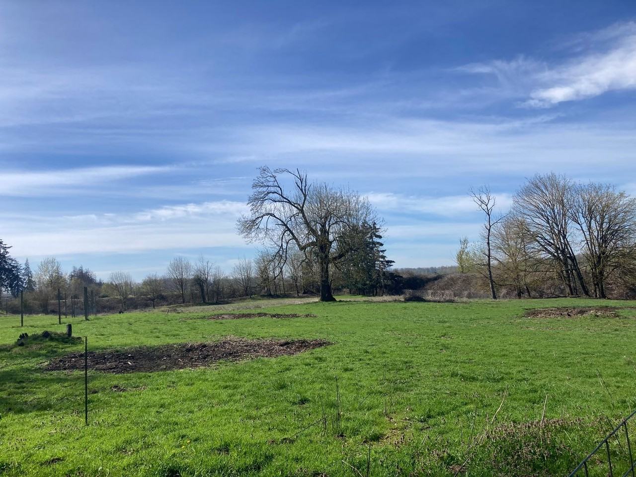 4100 Gilham Rd - Photo 4 of 4