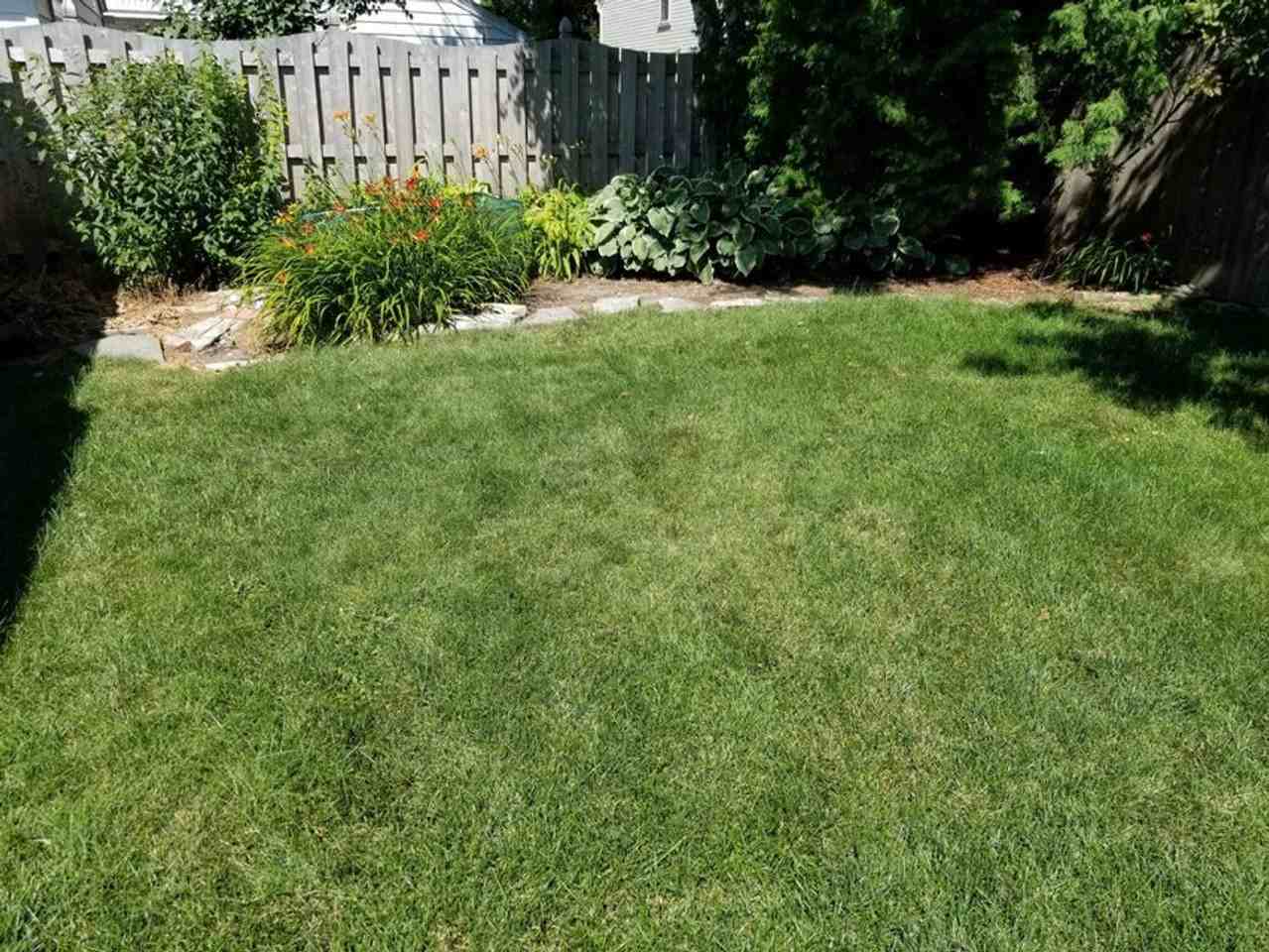 6015 N Shoreland Ave - Photo 3 of 16