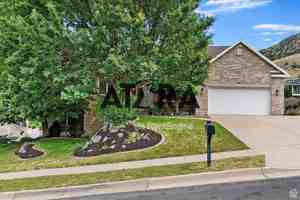 featured image of 154 Quail Flight #UP