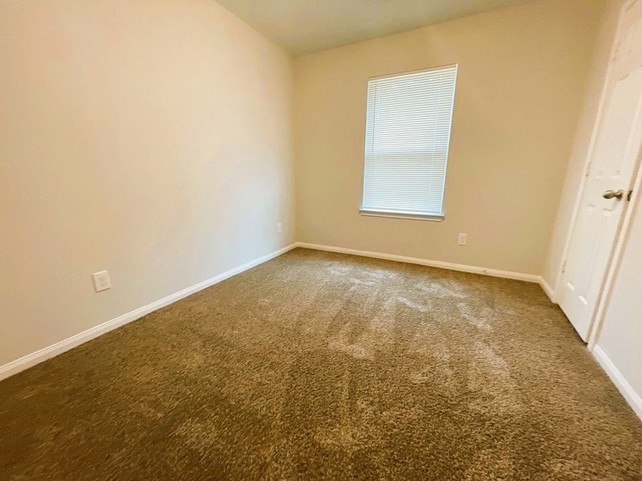 8005 Talton St - Photo 7 of 16