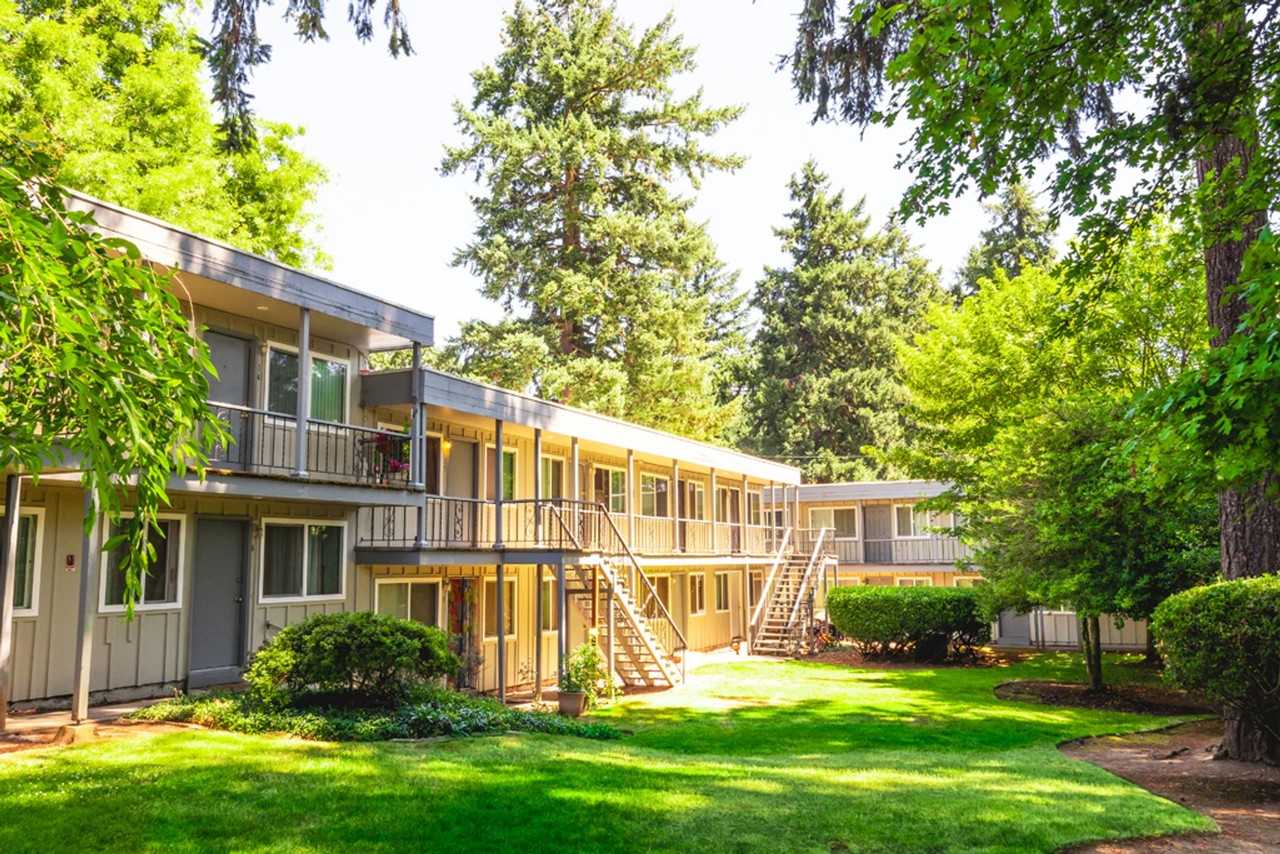 Peaceful Living Beneath the Fir Trees - Photo 2 of 6